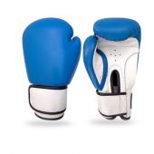 Speed 50 Training Boxing Gloves